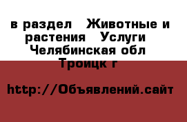  в раздел : Животные и растения » Услуги . Челябинская обл.,Троицк г.